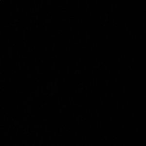 Meet your Posher, Claudia